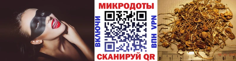 как найти   Армавир  Галлюциногенные грибы ЛСД 