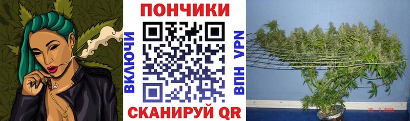 Шишки марихуана семена Армавир
